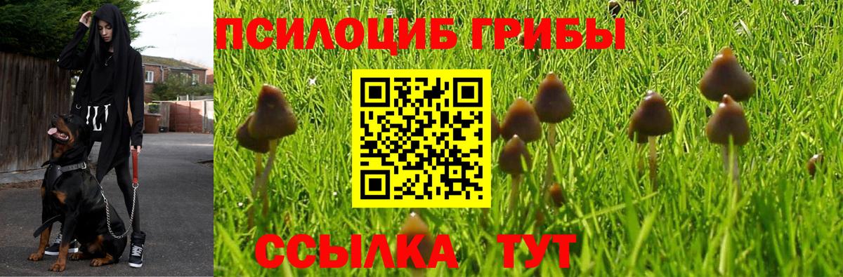 Рославль  Галлюциногенные грибы MAGIC MUSHROOMS  Вход с VPN 